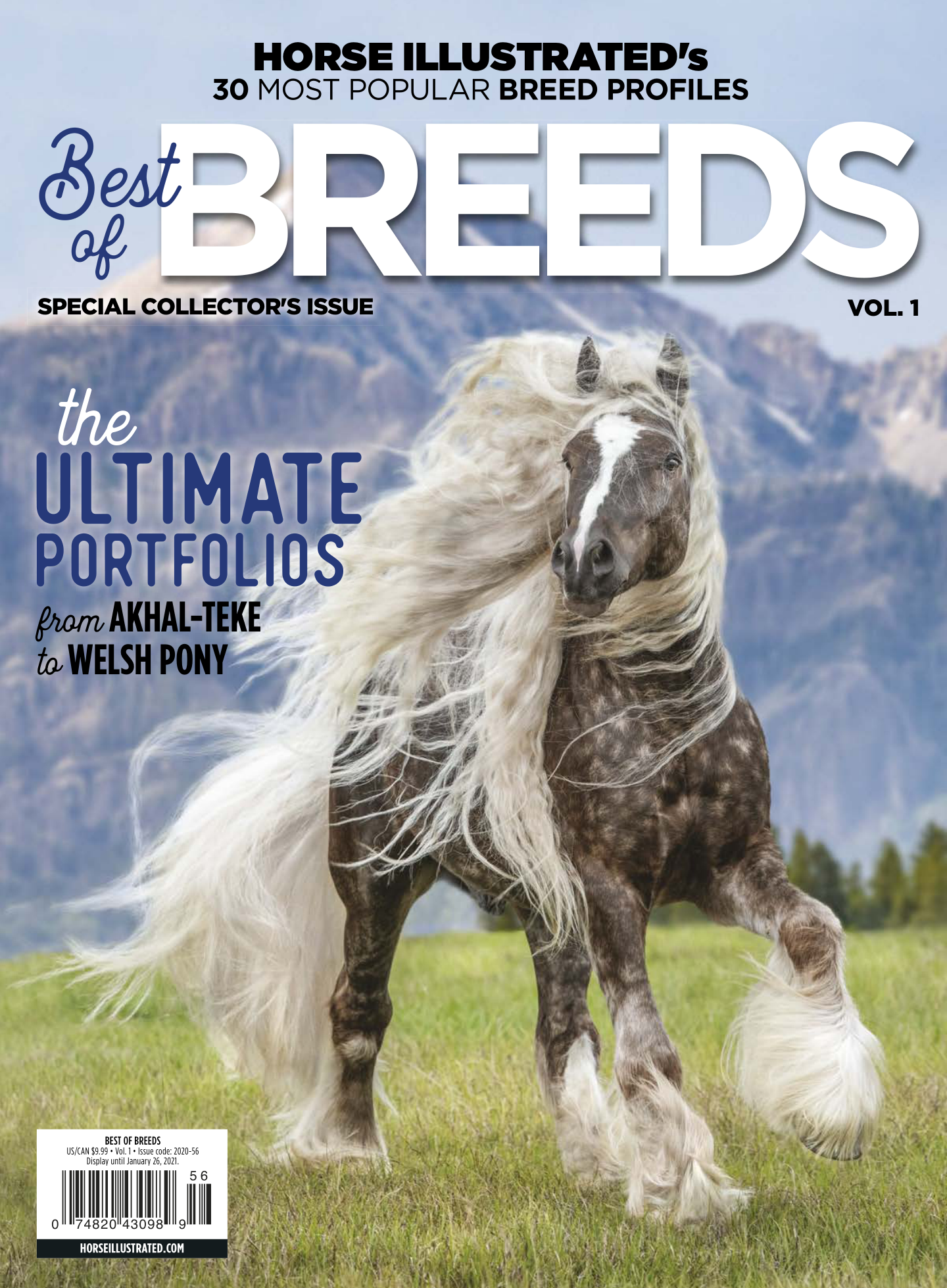 Best_of_Breeds_21