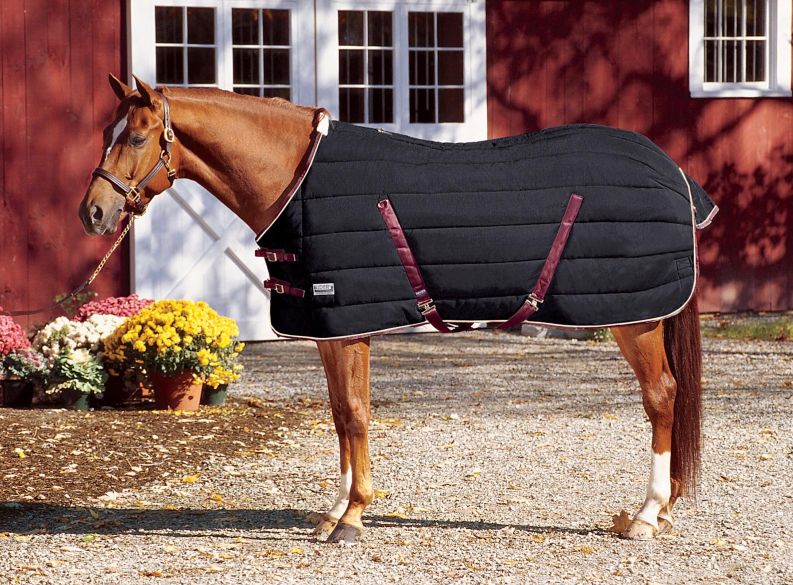 Field Guide to Horse Blanket Styles - Horse Illustrated
