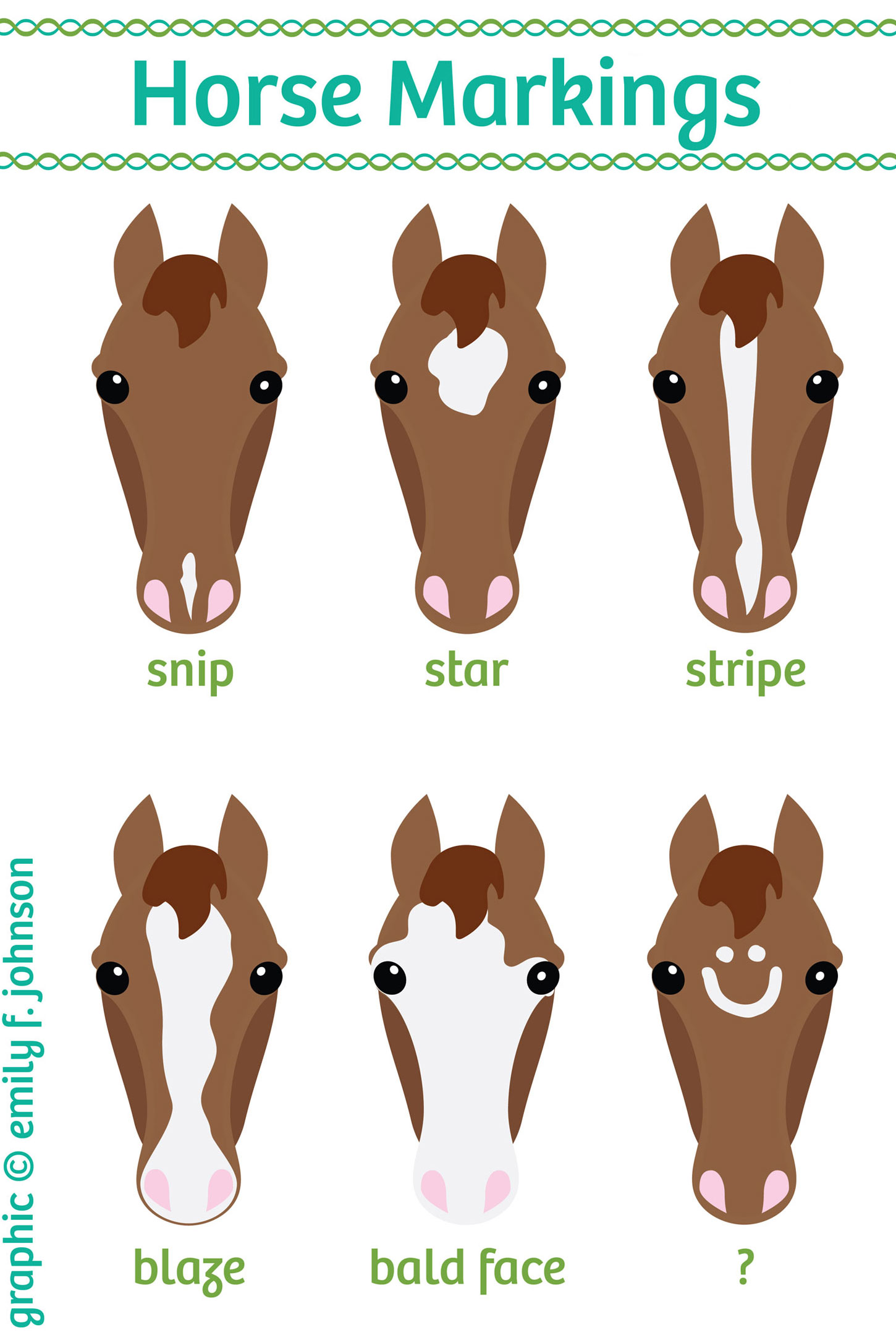 horse face markings - Students, Britannica Kids
