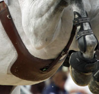 Online Tack and Horse Equipment Guide: Belly Guard - Horse Illustrated