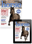 Horse Illustrated Combo Edition