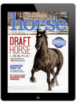 Horse Illustrated Digital Edition