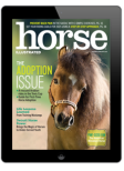 Horse Illustrated Digital Edition