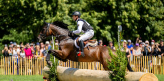 Michael Jung (GER) and Chipmunk FRH take the lead in eventing at the 2024 Paris Olympics after cross-country