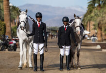 Kimberly's two boys whose ADHD diagnosis was benefitted by time with horses