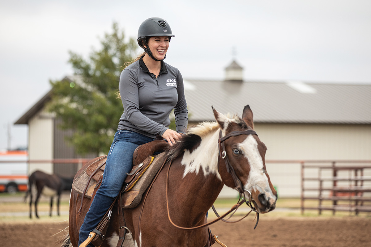 A horse being ridden at the ASPCA Equine Transition and Adoption Center