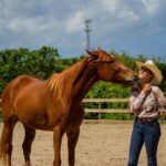 Adoptable horse Tairaterces.