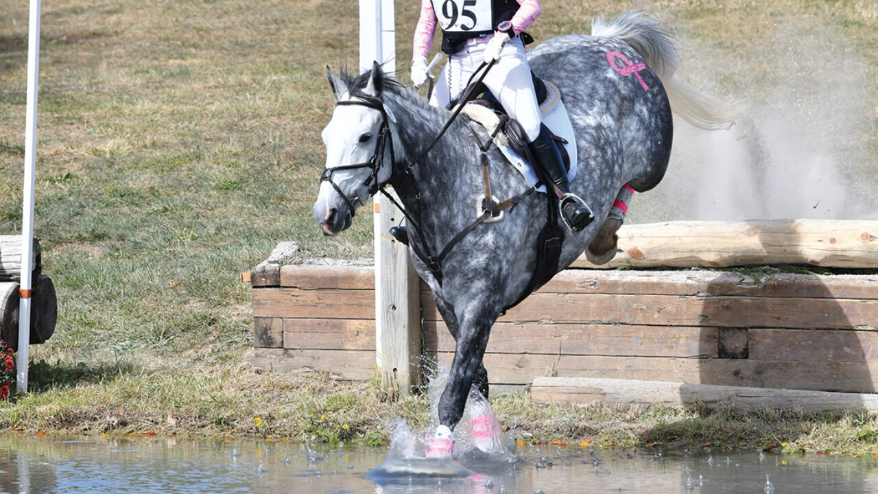 Equestrian Overcomes Cancer - Horse Illustrated