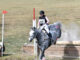 Ashley Anderson, an equestrian who overcame cancer,