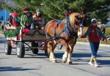 A Belgian horse pulls a wagon full of Christmas revelers at the Lebanon, Ohio Horse-Drawn Carriage Parade and Christmas Festival.