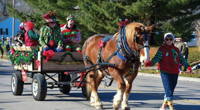 A Belgian horse pulls a wagon full of Christmas revelers at the Lebanon, Ohio Horse-Drawn Carriage Parade and Christmas Festival.