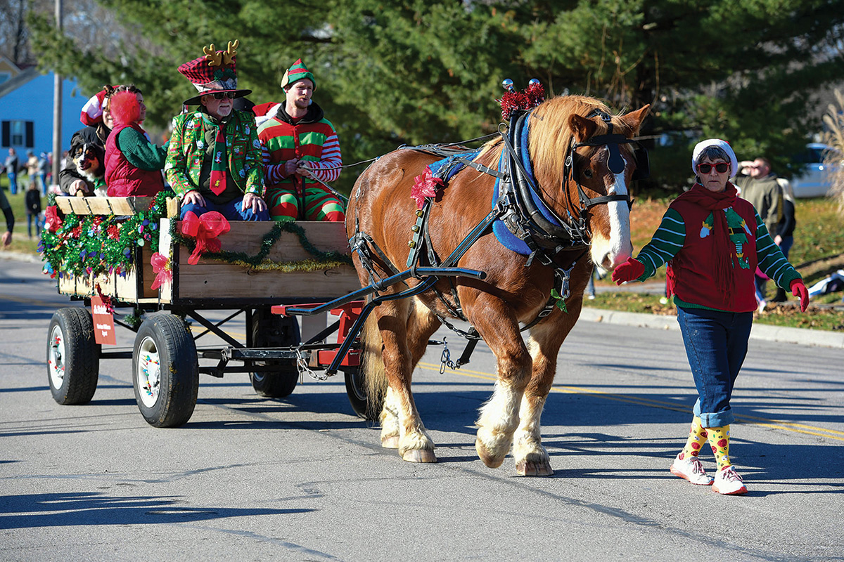 A Belgian horse pulls a wagon full of Christmas revelers at the Lebanon, Ohio Horse-Drawn Carriage Parade and Christmas Festival.