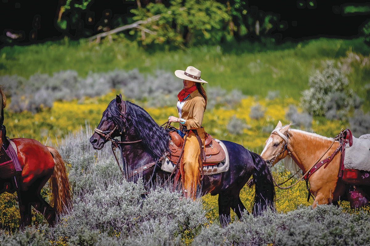 A Peruvian Horse on a trail ride