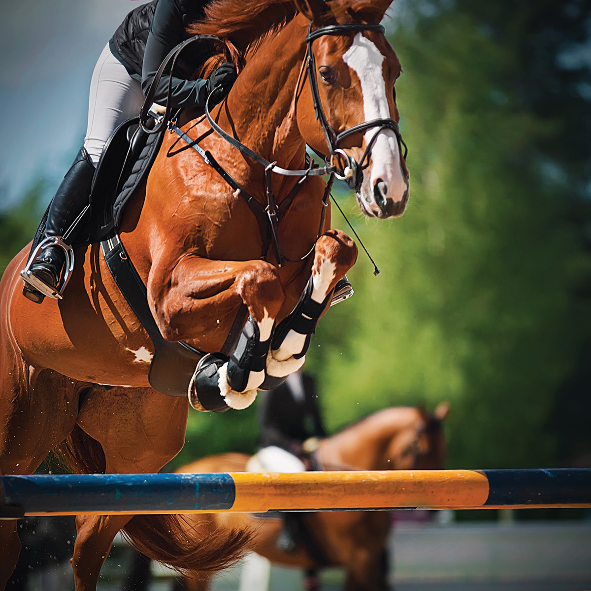 A chestnut horse jumping at a horse show