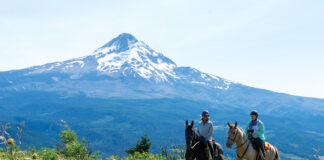 Trail riders who are horse camping ride Surveyor’s Ridge Trail in Mt. Hood National Forest, Oregon