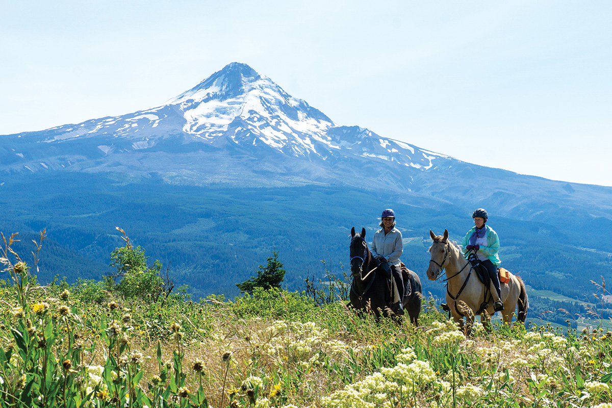 Trail riders who are horse camping ride Surveyor’s Ridge Trail in Mt. Hood National Forest, Oregon