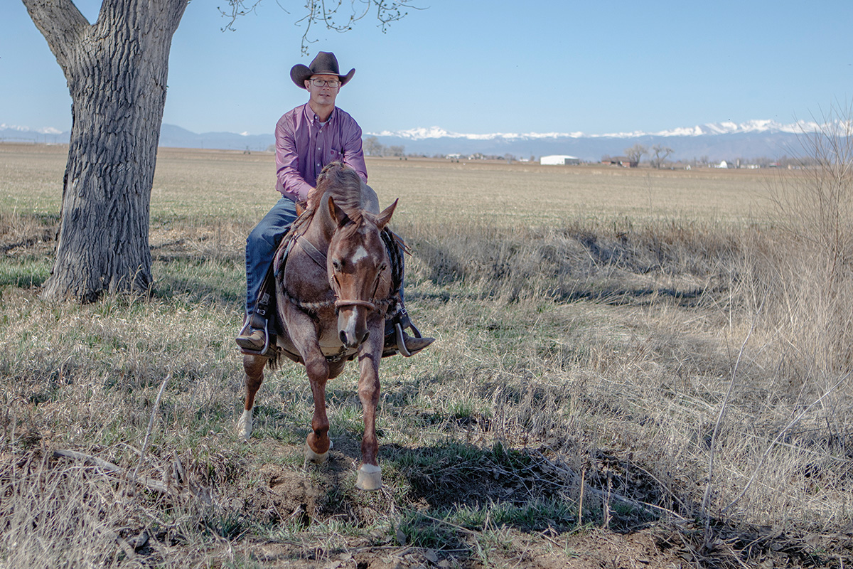 A trainer teaching a horse to cross a ditch