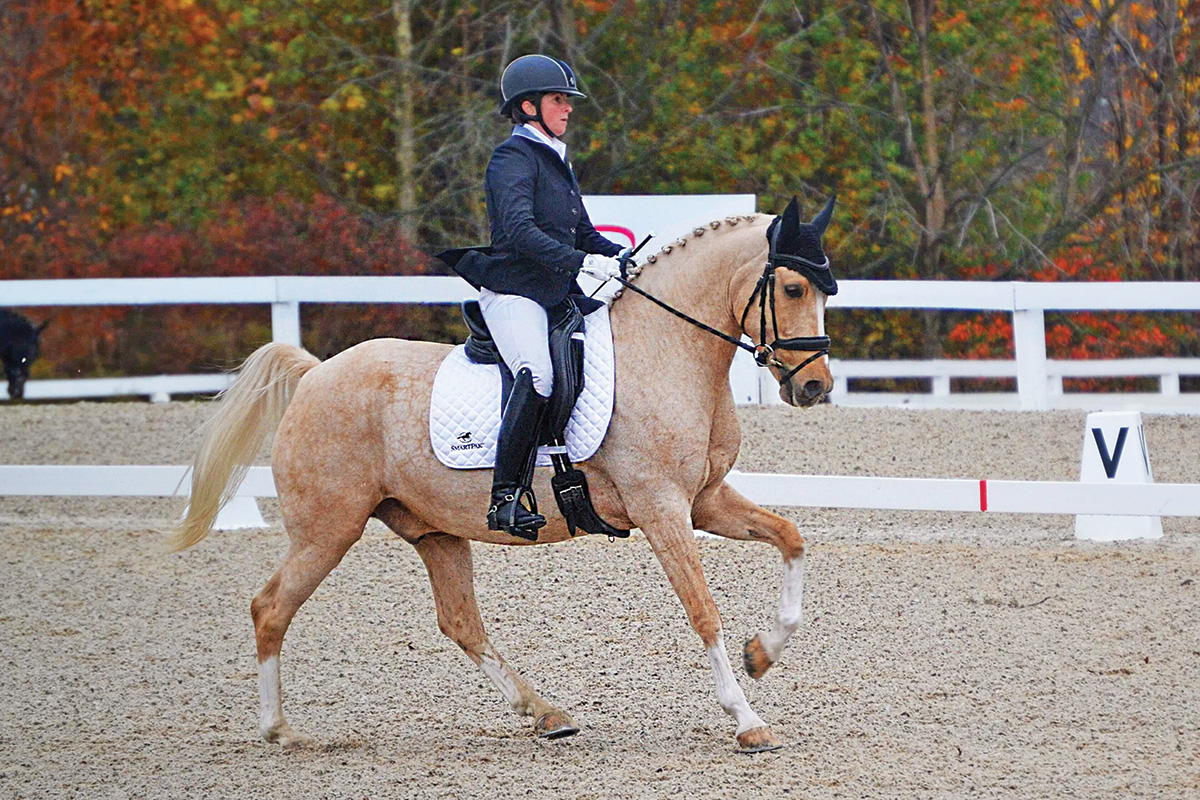 An equestrian riding a palomino at a horse show, which takes plenty of goal setting to get to.