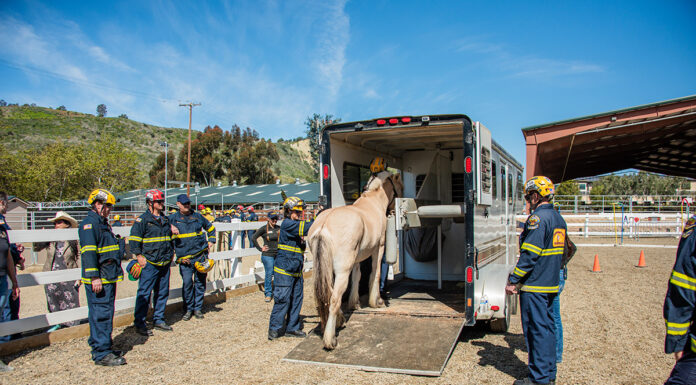 Firefighters participate in an equine rescue training at The Shea Center