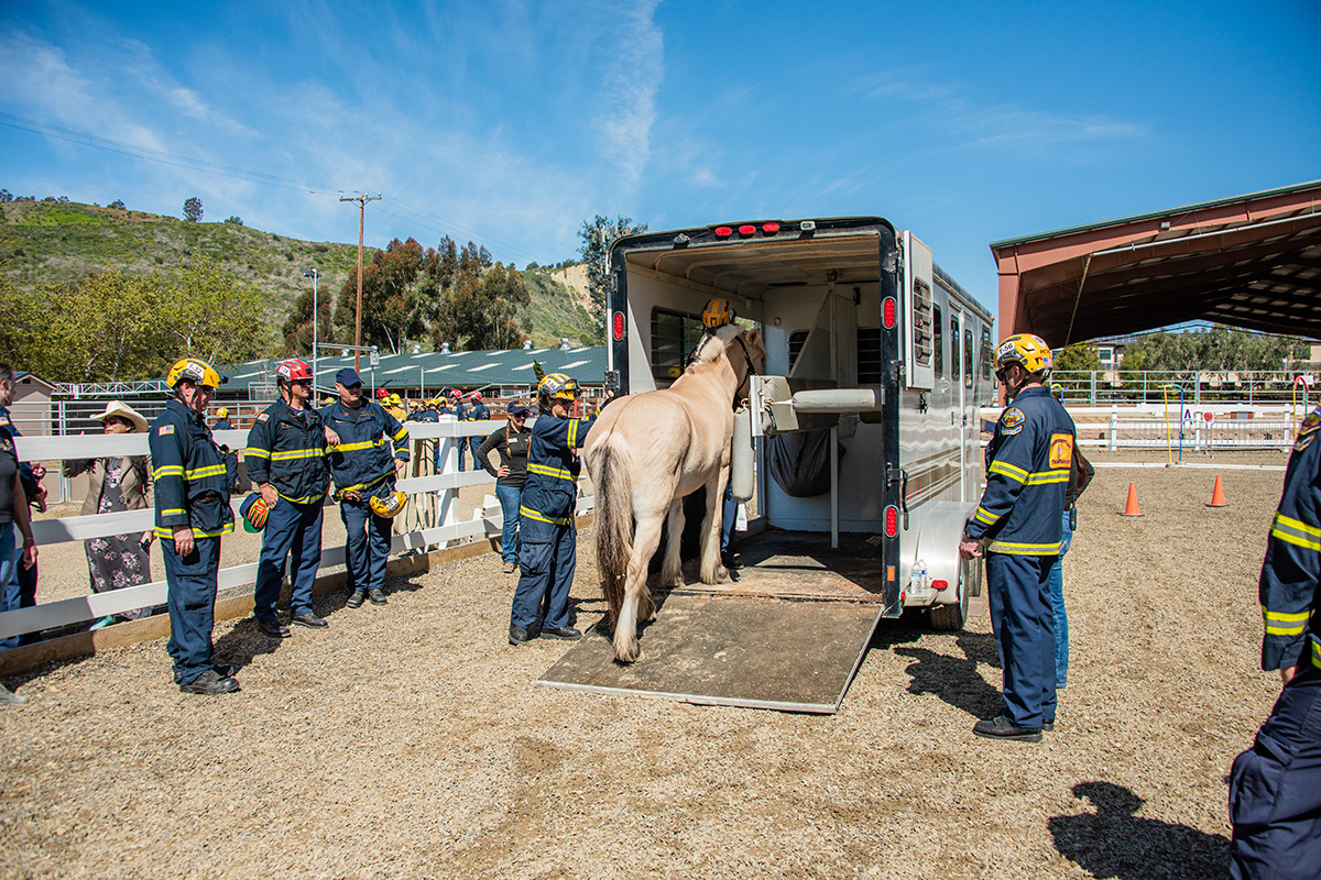 First responders load a horse into a trailer