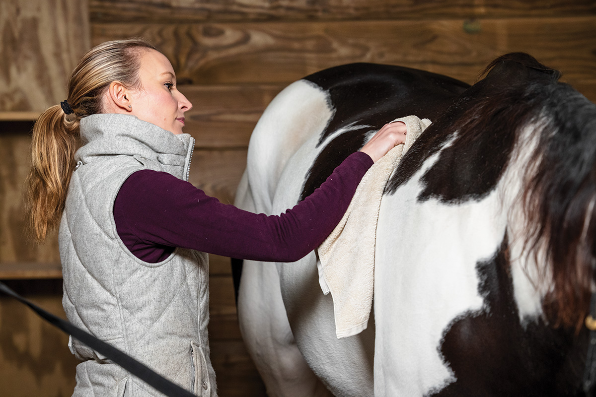 Hot toweling a horse, which is a great grooming hack for when it's too cold for a bath