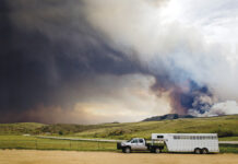 A horse trailer evacuating from a fire. Having a natural disaster or emergency preparedness plan helped these horse owners evacuate safely.