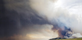 A horse trailer evacuating from a fire. Having a natural disaster or emergency preparedness plan helped these horse owners evacuate safely.