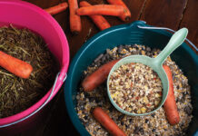 Bran and carrots in buckets.