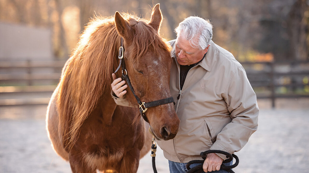 Horse Rescue: Equine Welfare Data Collective - Horse Illustrated