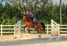 A rider jumps a horse that had been rushing