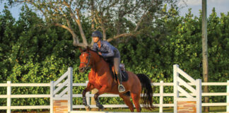 A rider jumps a horse that had been rushing