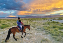 A long ride on horses in Mongolia for charity