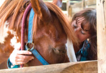 An equestrian harnesses her monkey mind by being present with her horse.