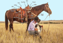 Labeled parts of a western saddle