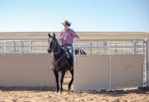 A trainer riding a horse through a gate on a ranch