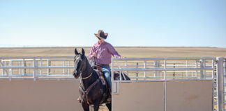 A trainer riding a horse through a gate on a ranch