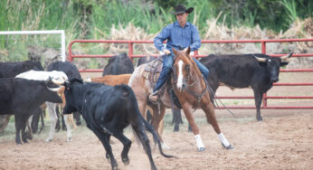 Slot Conchos are Easy to Use and Safer than Chicago Screws for Attaching  Bits to Headstalls - Quarter Horse News