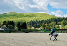 Riding a Lipizzaner horse in Hungary at the stud