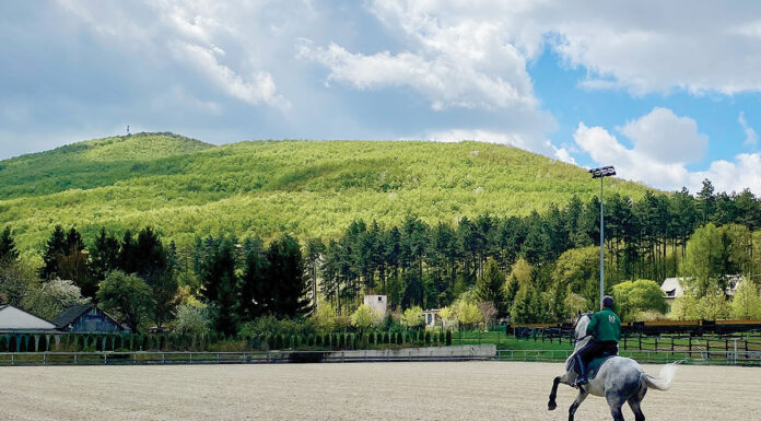 Riding a Lipizzaner horse in Hungary at the stud