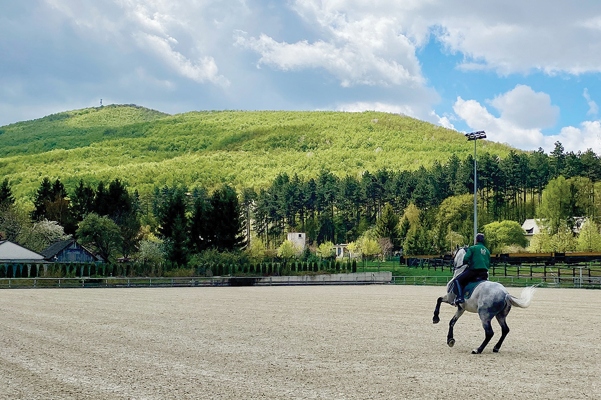 Riding a Lipizzaner horse in Hungary at the stud