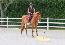 A spooky horse observing an umbrella