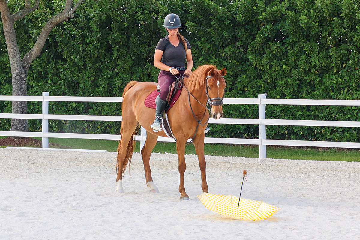 A spooky horse observing an umbrella