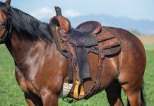 A western saddle with a proper fit