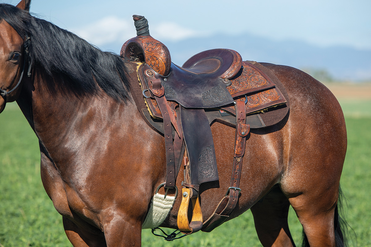 A western saddle with a proper fit