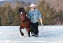 A man leads a horse through deep snow.