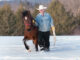 A man leads a horse through deep snow.