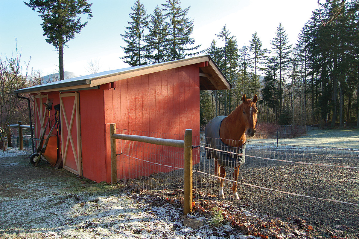 A horse in a dry lot, which can be used as a confinement area for