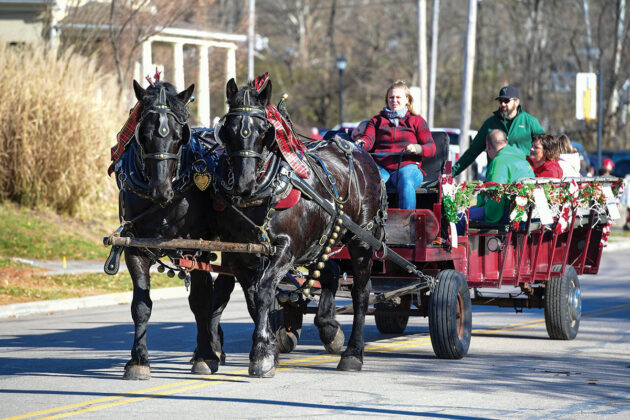 Percherons pulling a wagon.