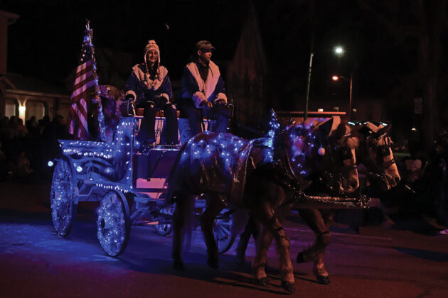 Haflingers in a nighttime Christmas parade.