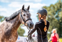 A girl showing her horse.